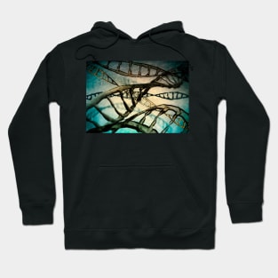 DNA molecules, illustration (C027/5810) Hoodie